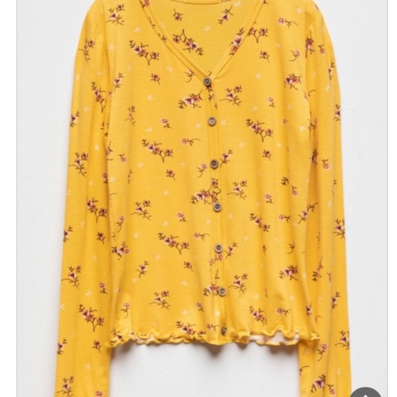 Meet your Posher, Daisy - Picture 1 of 1